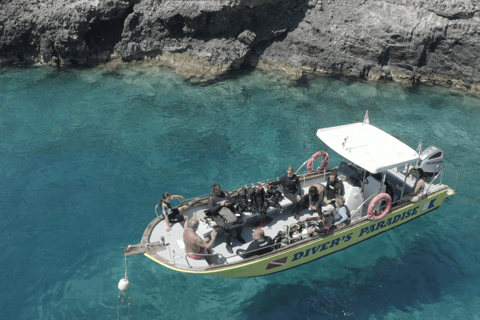 Zakynthos: Small-Group Scuba Diving for All Levels Zakynthos: Discover Scuba Diving Experience with Photos