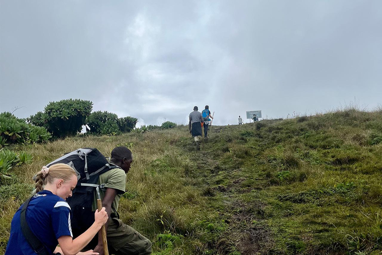 From Kigali: Bisoke Summit Trek, Crater Lake 1 Day Safari