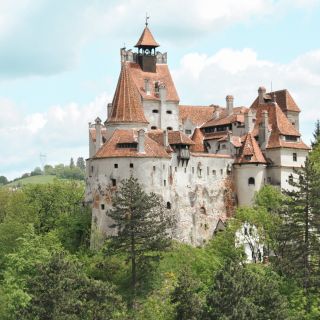 Da Bucarest: tour di Castello di Dracula, Peleș e Brașov