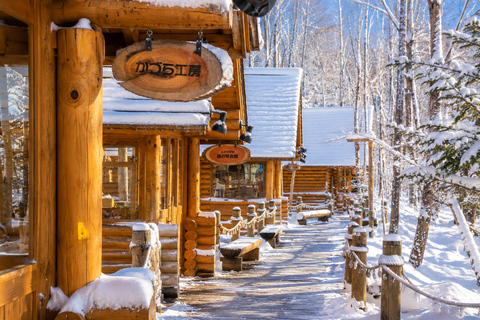 From Sapporo: Snow Fun, Shirahige Falls & Ningle Terrace