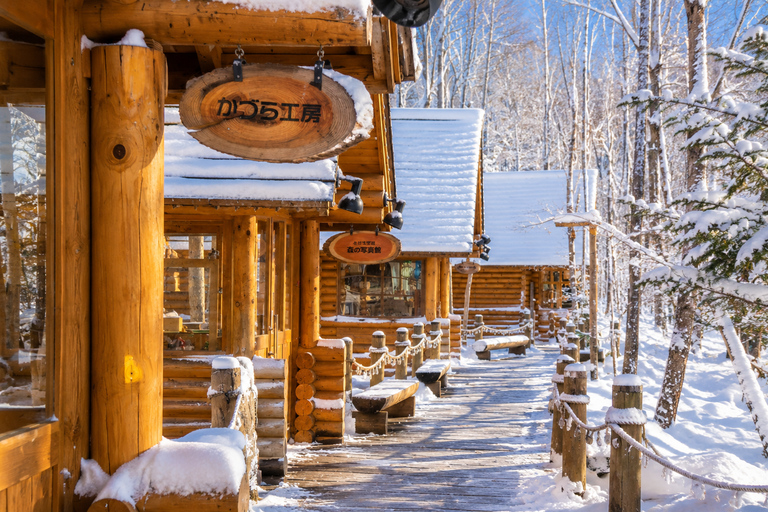 From Sapporo: Snow Fun, Shirahige Falls & Ningle Terrace