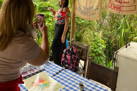 From Medellín: Half Day Private Coffee Tour