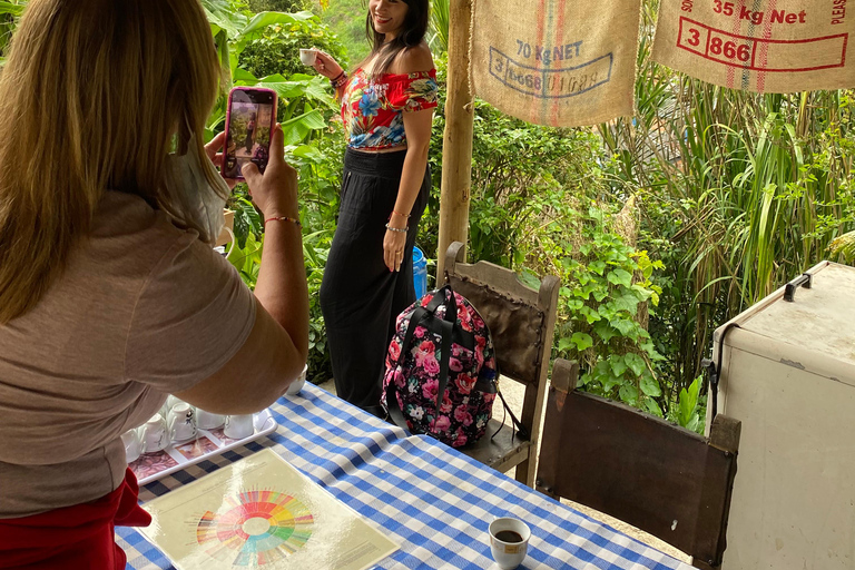 From Medellín: Half Day Private Coffee Tour