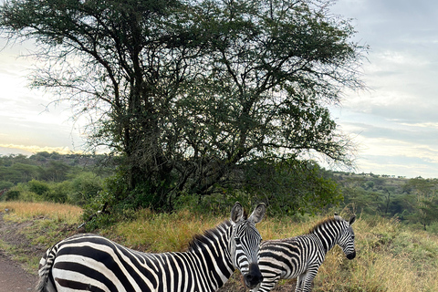 Nairobi: National Park Tour Experience