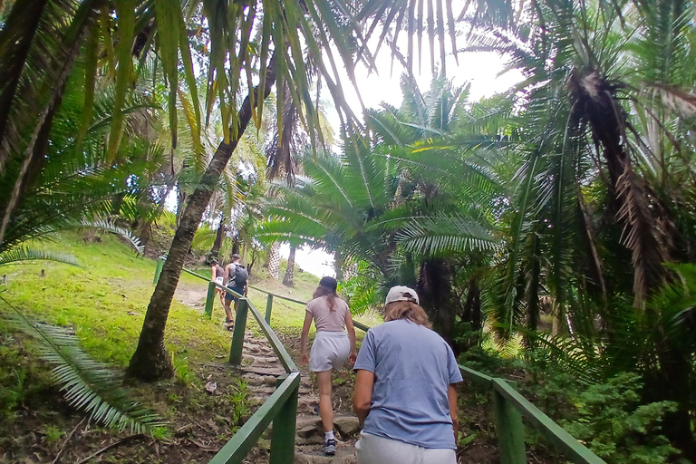 NADI: Garden Of Sleeping Giant & Tifajek Mudpool & Hotspring Shangri-La's Fijian Resort and Spa / Gecko Resort Pickup