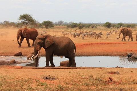 SAFARI DE 3 DÍAS AL PARQUE NACIONAL TSAVO ESTE Y OESTE