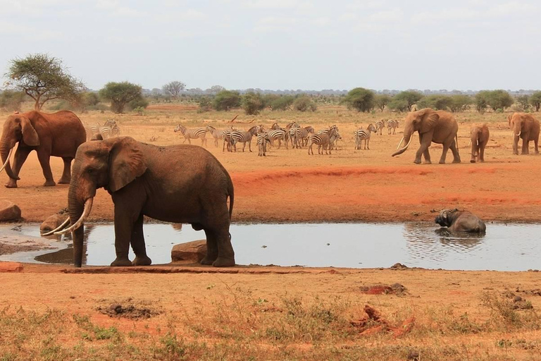 SAFARI DI 3 GIORNI NEL PARCO NAZIONALE DELLO TSAVO EST E OVEST