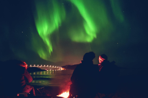 Tromsø: Northern Lights Tour with bonfire, sausages & snacks Tromsø: Northern Lights Guided Tour with Bonfire and Snacks