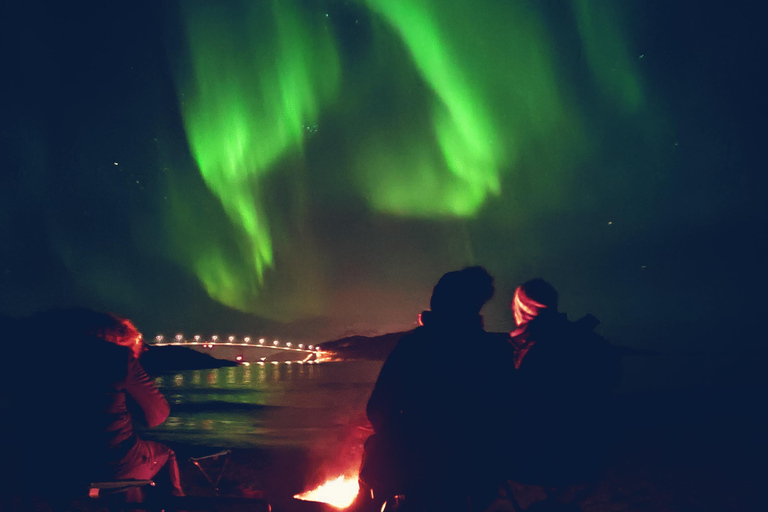 Tromsø: Northern Lights Tour with bonfire, sausages & snacks Tromsø: Northern Lights Guided Tour with Bonfire and Snacks