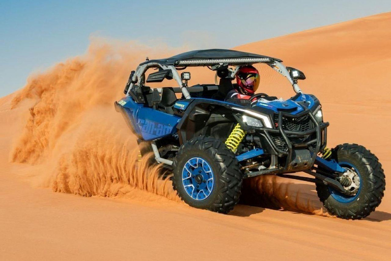 Into the Wild : une passionnante promenade en buggy à travers les dunes