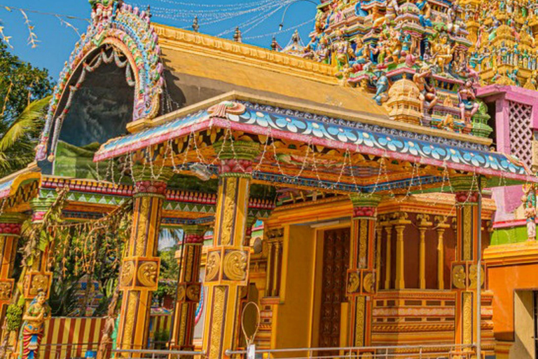 From Kandy: Sigiriya, Dambulla, & Minneriya Private Day Trip