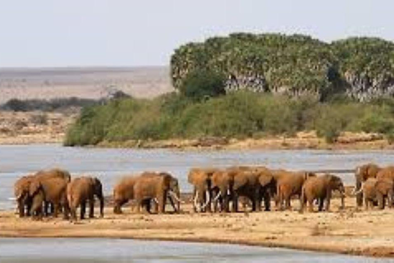 Safari privado de una noche al Campamento Severin desde Mombasa