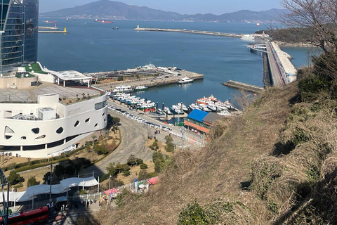 From Seoul: 2-Day Yeosu and Suncheon Scenic Journey