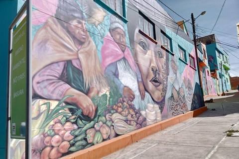 Chualluma: Las casas multicolores de La Paz