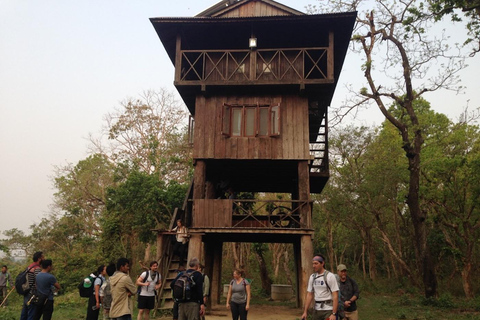 3 noce 4 dni: Park Narodowy Chitwan z noclegiem w wieży