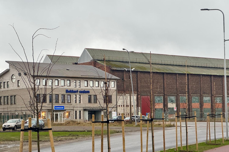 Tallinn: Kalamaja & Telliskivi Tram and Walking Tour