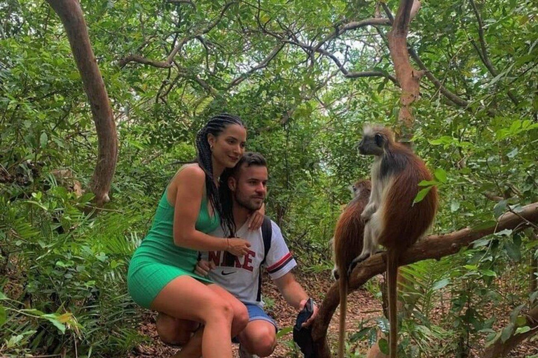 Zanzibar: Jozani Forest with Mangrove Boardwalk Experience Private Tour with Transfers (Anywhere in Zanzibar)