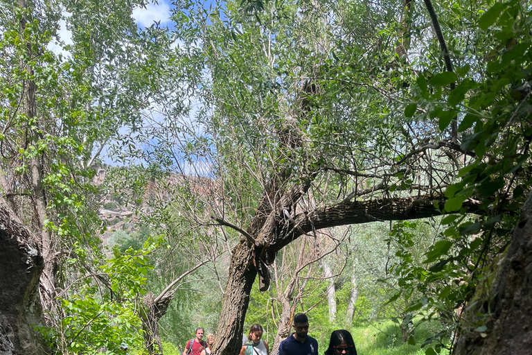 Capadócia: visita guiada com passeio de ATVPasseio misto com guia e transporte