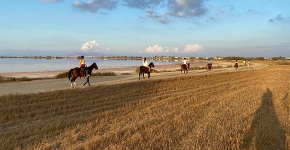 Kos: Horse Riding Experience on the Beach with Instructor