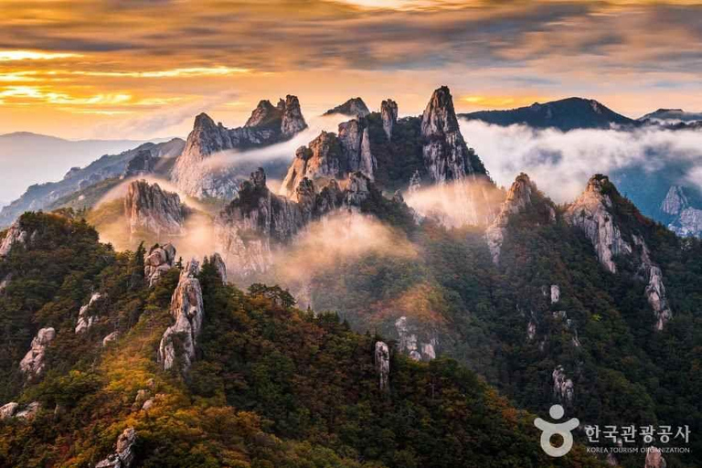 From Seoul: 6-Day Guided Tour with Hotels and Transfers