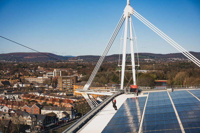 Cardiff: Principality Stadium Zip Line Adult or Child