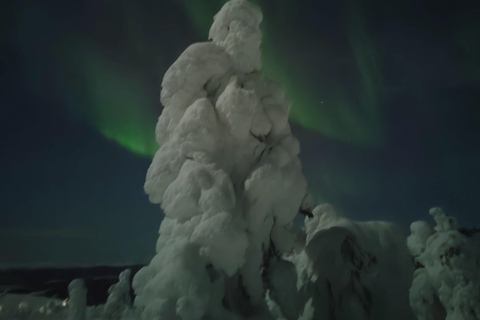 Levi: En busca de la aurora boreal en trineo con moto de nieveLevi: Búsqueda de auroras boreales en trineo de motos de nieve