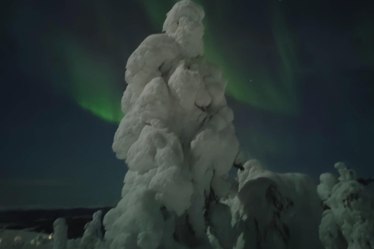 Levi: En busca de la aurora boreal en trineo con moto de nieveLevi: Búsqueda de auroras boreales en trineo de motos de nieve