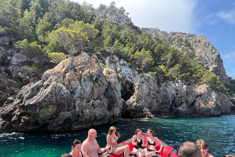 Alcudia: sightseeing, zeegrotten en snorkelavontuur per boot3 uur durende speedboottocht - grotten, snorkelen en sightseeing