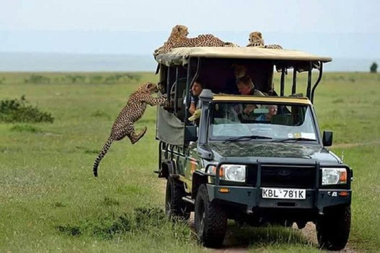 Nairobi nationalpark David Sheldrick Giraffcenter