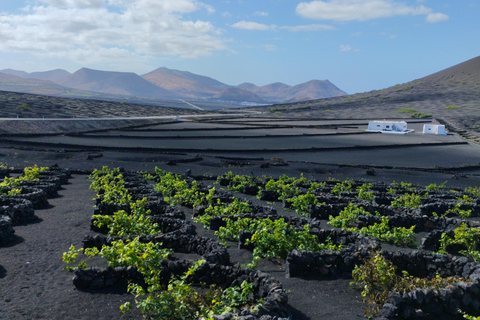 La Geria: wandeling tussen vulkanen en wijngaardenLa Geria: wandelen tussen vulkanen en wijngaarden