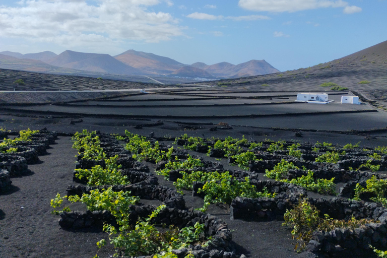 La Geria: wandeling tussen vulkanen en wijngaardenLa Geria: wandelen tussen vulkanen en wijngaarden