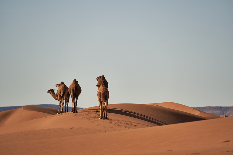 Moroccan Odyssey: 6-Day From Tangier to Marrakech Via Sahara Moroccan Odyssey: 6 Days From Tangier to Marrakech