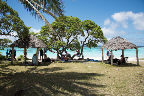 Martinique: Horseback Ride to Grand Macabou, Chapel, & Beach