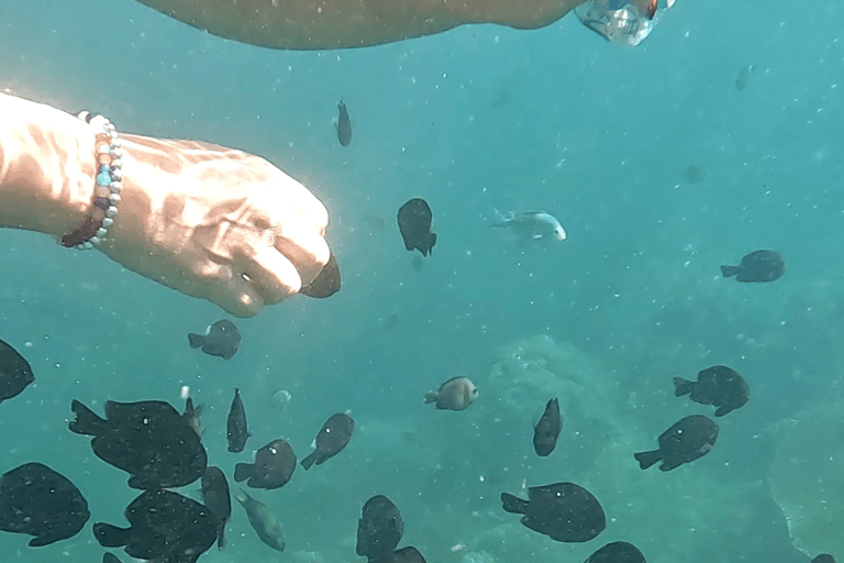 Sanur : Snorkelen bij de kust van SanurSanur : Snorkelen