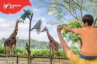 Singapur Zoo: 1-Tages-Eintritts-E-Ticket
