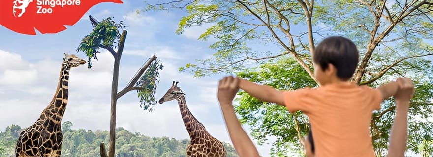 Zoo de Singapour : billet électronique 1 jour