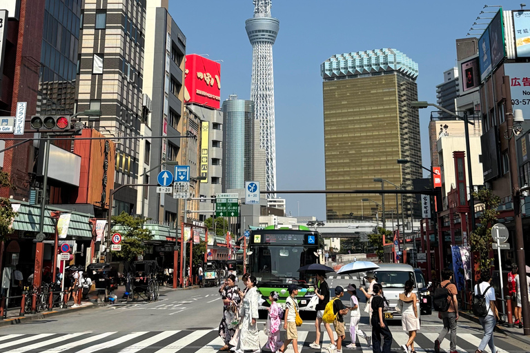 东京：本地导游带领的私人城市观光之旅豪华SUV 3人座