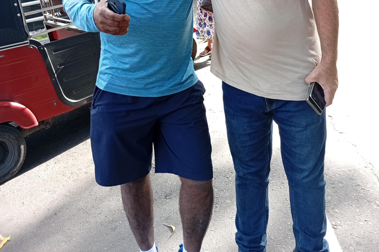 Kandy: Ambuluwawa, Pinnawala & Tea Factory by Tuk Tuk