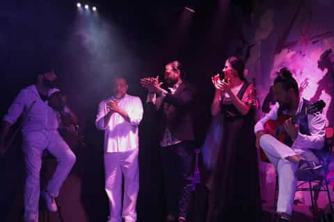 Madrid : spectacle de flamenco au Tablao Opera Flamenca