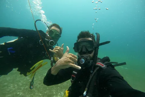 Culebra: Snorkel z żółwiami