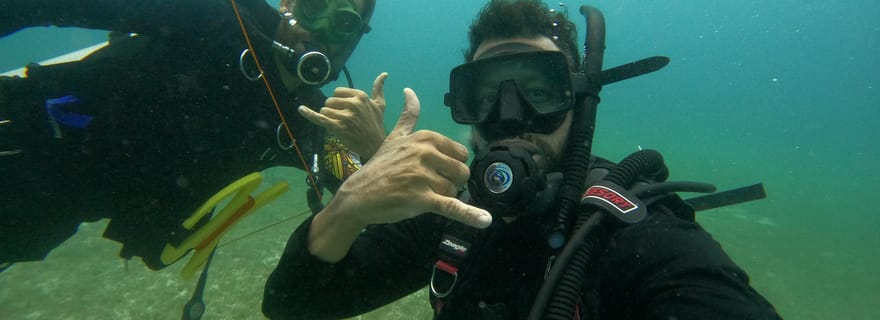 Culebra : snorkeling avec les tortues