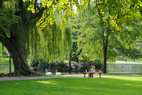 From Boston:Public Garden,Beacon Hill&More Half Day tour Tour Only