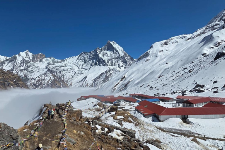 Pokhara: 9-Day Annapurna Base Camp Trek with Hot Springs