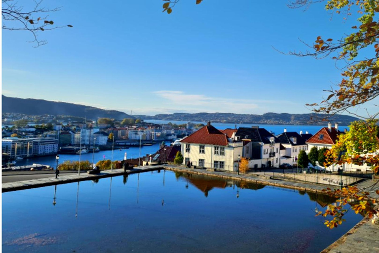 Bergen: Hidden Gems Premium Minibus Tour with Scenic Views