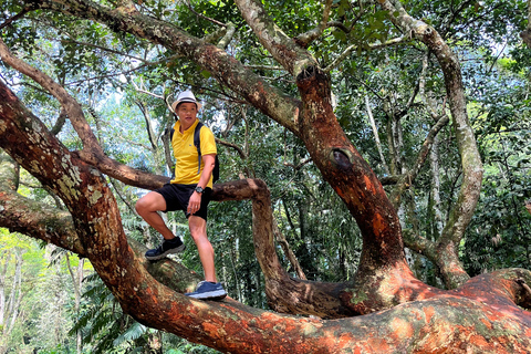 ريو دي جانيرو: جولة في غابة تيجوكا وبيدرا بونيتا بالسيارة