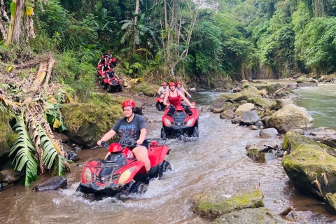 Ubud: Gorilla Face Quad Bike, Jungle Swing, Waterfall & Meal Tandem Ride with Meeting Point (No Pickup and Dropoff)