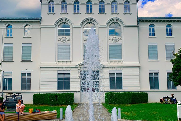 Zürich: Schloss Gruyères, Käse, Schokolade Private Tagestour