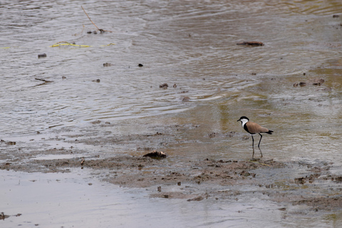 Viaggio di due giorni al Lago Manyara con canoa e passerella tra le cime degli alberiCampeggio a Karatu