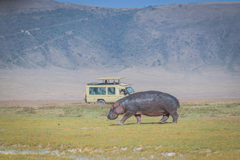 7 DAGARS SAFARI: TARANGIRE, SERENGETI &amp; NGORONGOROKRATERN