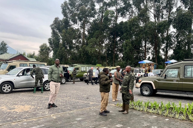 Rwanda: 2-daagse gorillatrekkingsafari en Kigali stadstour2-daagse Gorilla-trekkingsafari en Kigali-stadstour